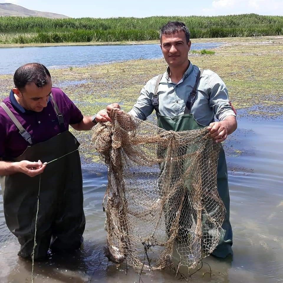 Van’da sazangiller için av yasağı başladı