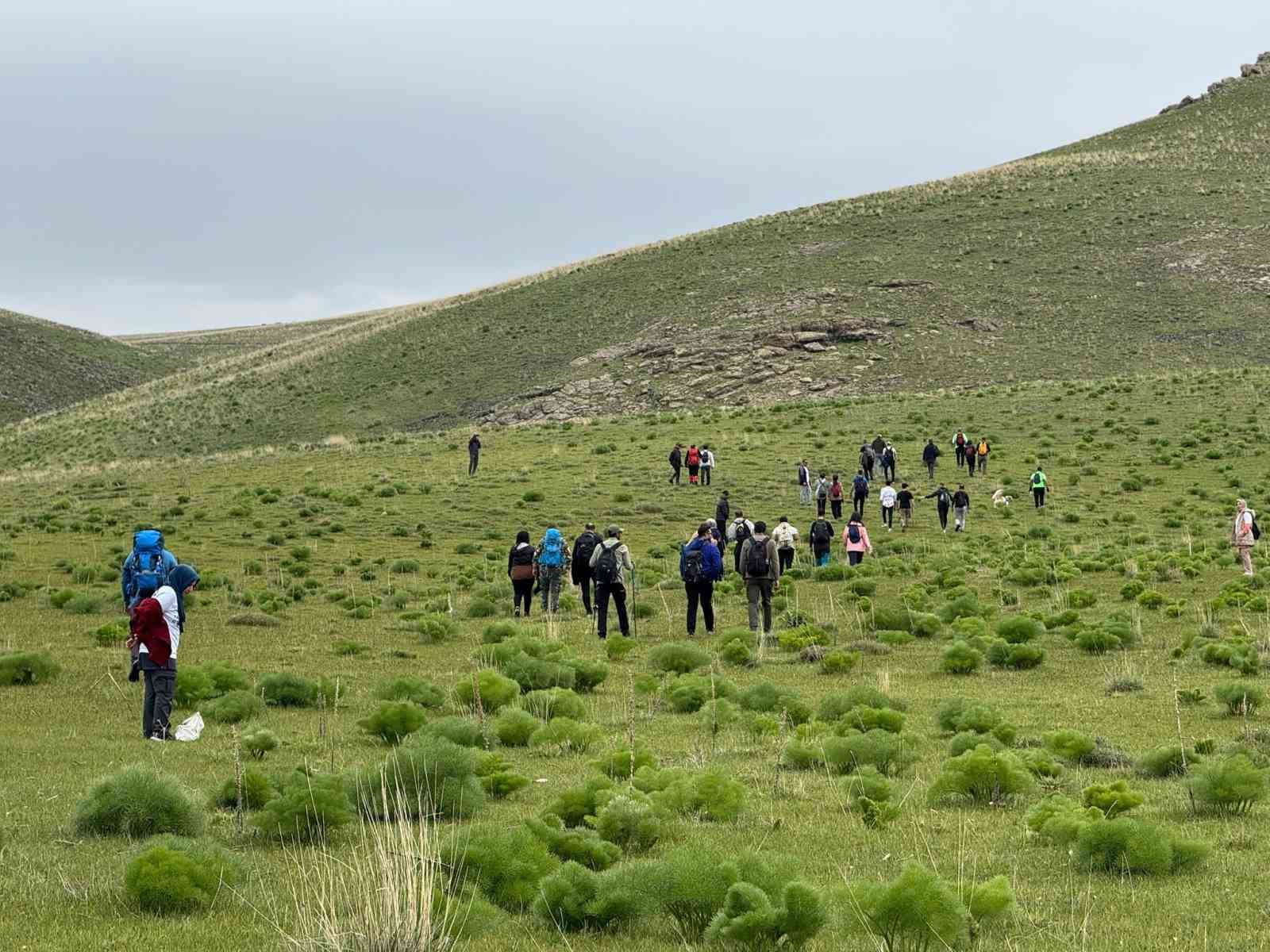Doğaseverler, Erciş’in gizli cenneti Meydan Yaylası’nda buluştu