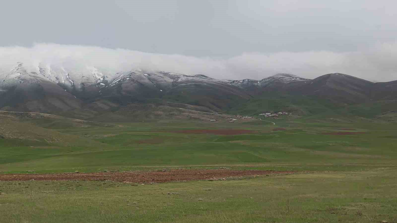 Van’da dağların zirvesinde kar, ovalarında çiçek