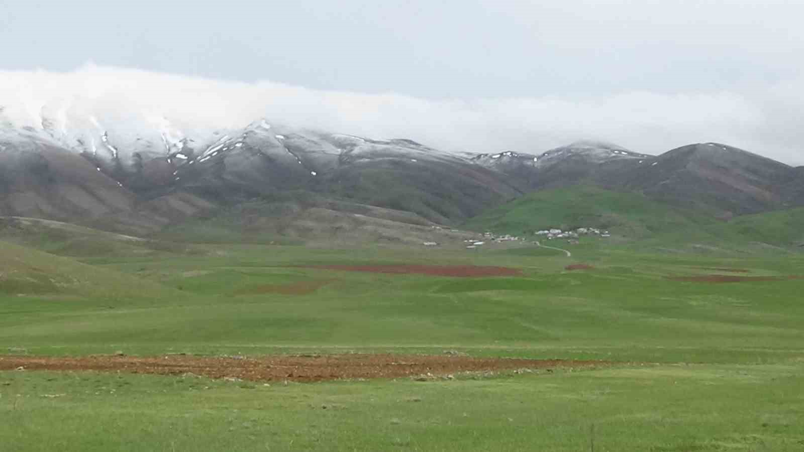 Van’da dağların zirvesinde kar, ovalarında çiçek