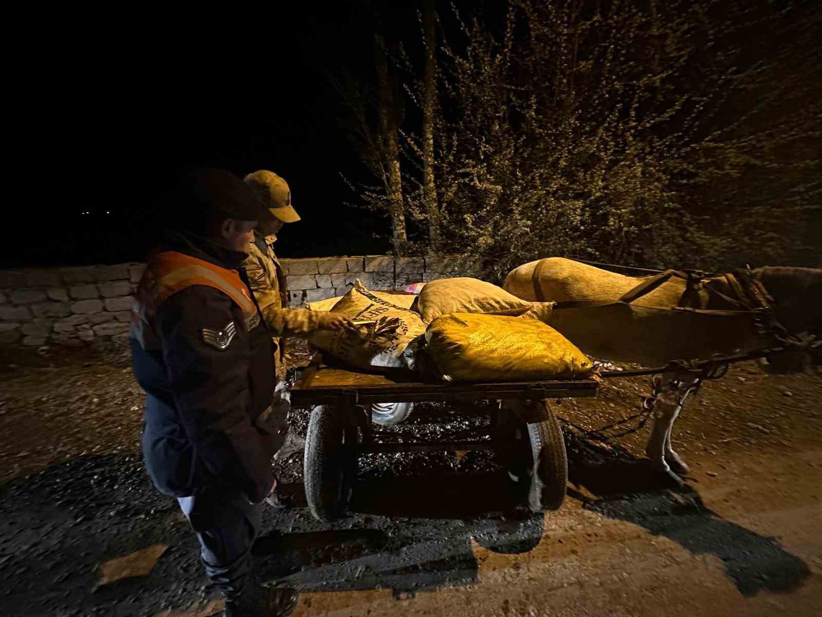 Van’da 3 ton 820 kilo kaçak avlanmış balık ele geçirildi