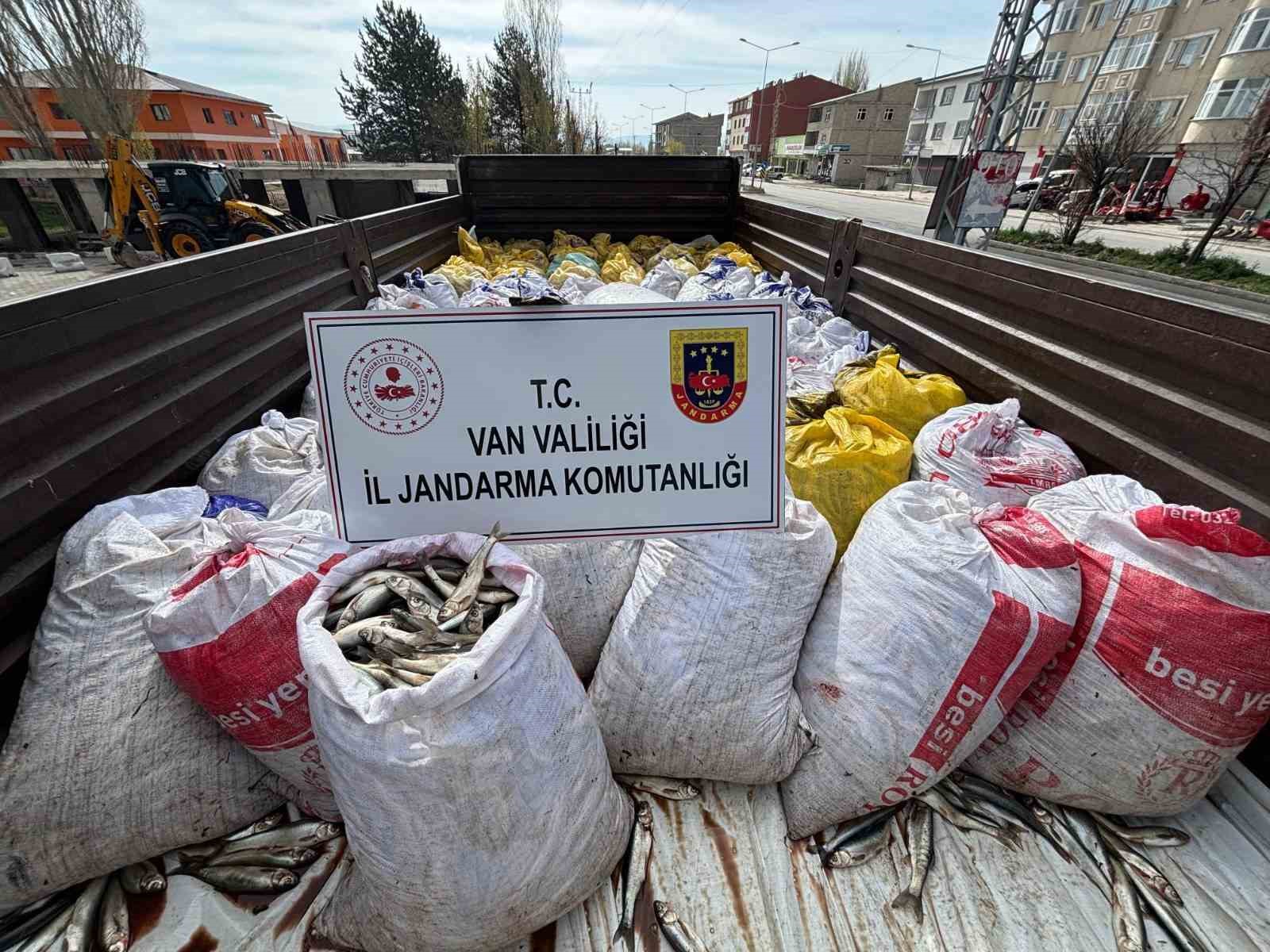 Van’da 3 ton 820 kilo kaçak avlanmış balık ele geçirildi