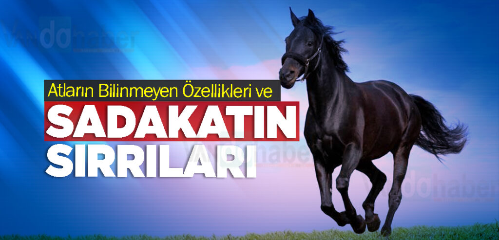 Atların Bilinmeyen Özellikleri ve Sadakatin Sırrıları