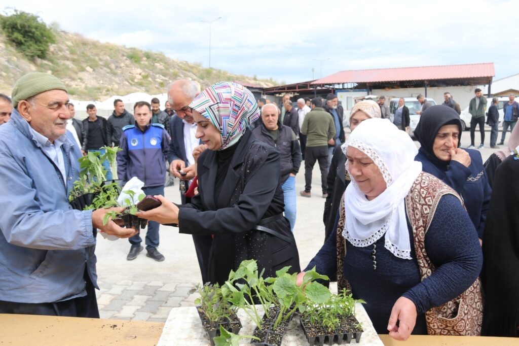 Edremit Belediyesi'nden Ücretsiz Sebze Fidesi Desteği