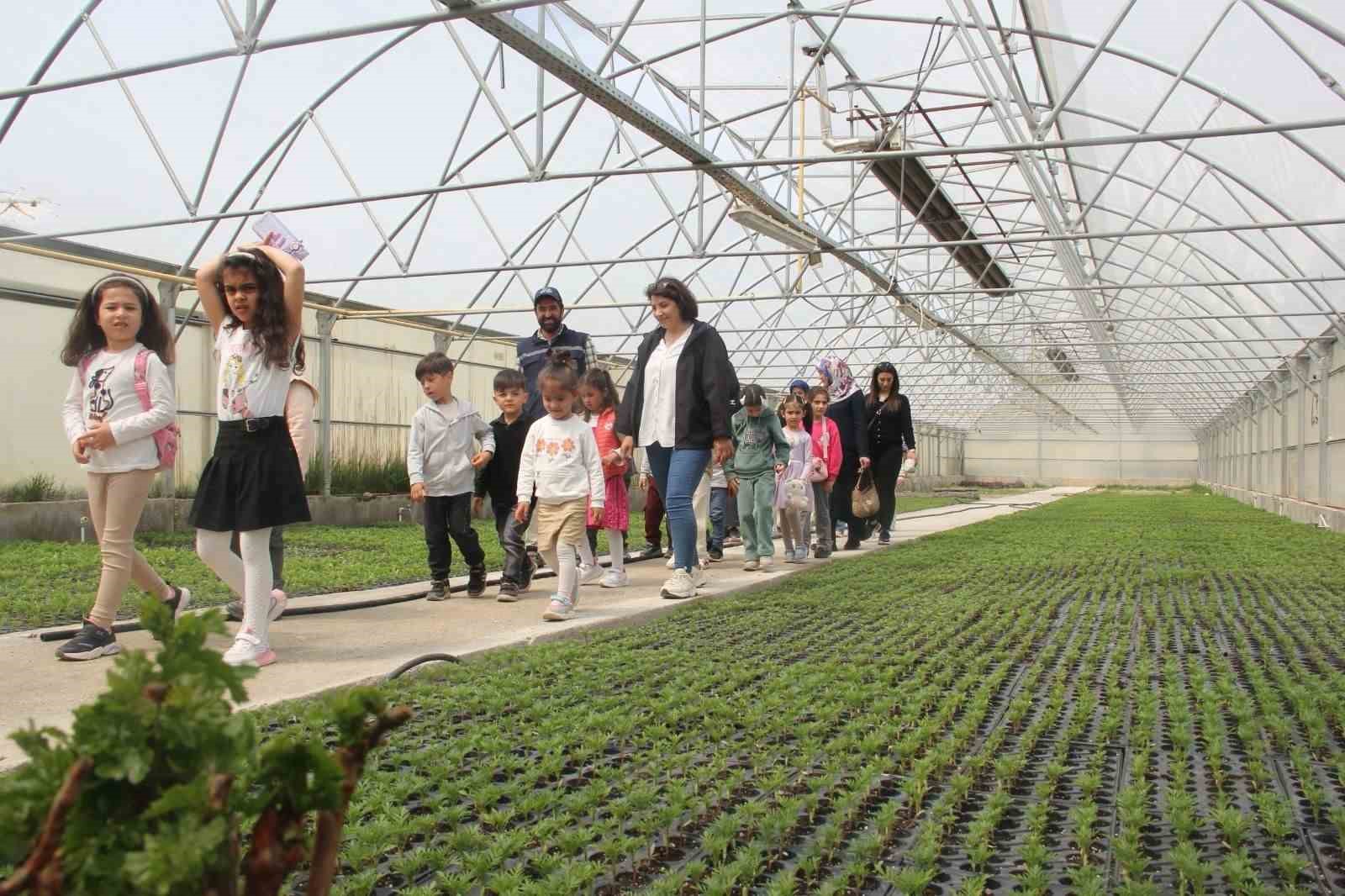 Minik öğrenciler seralarda doğayla buluştu