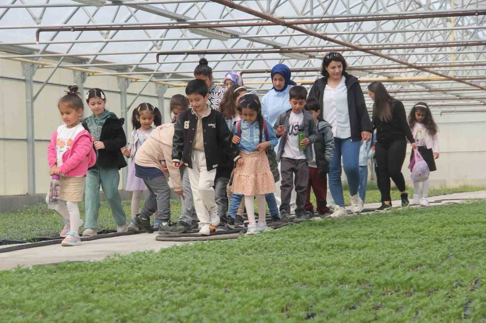 Minik öğrenciler seralarda doğayla buluştu