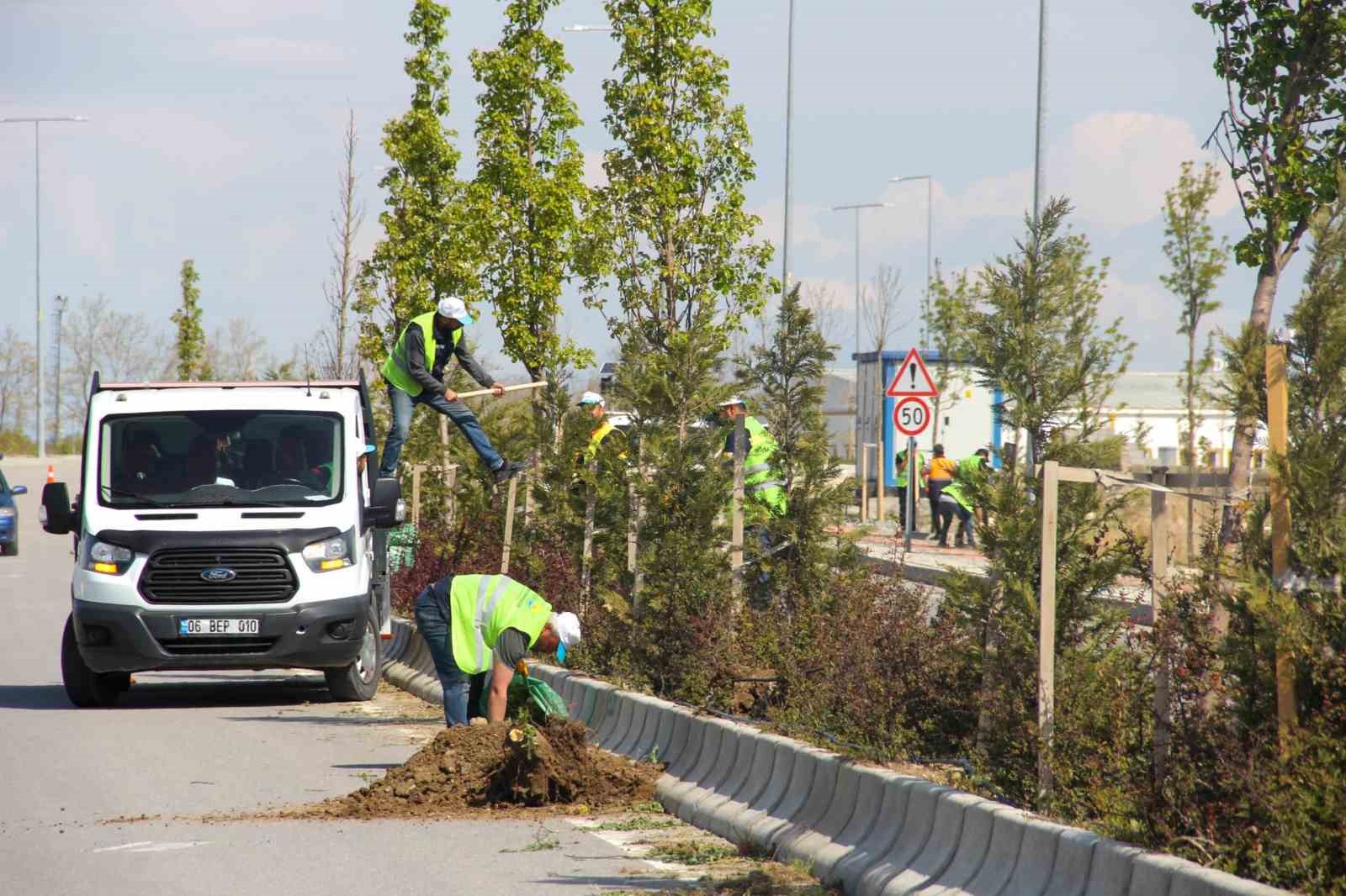 Van Büyükşehir Belediyesinden sahil yolunda çalışma