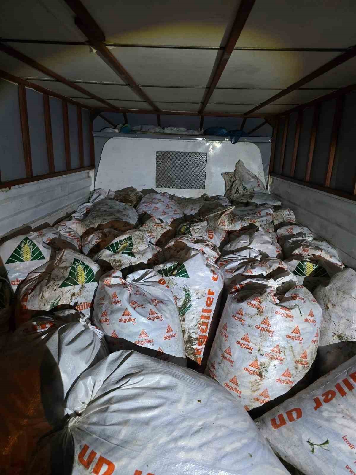 Van’da 3 ton 370 kilogram inci kefali ele geçirildi