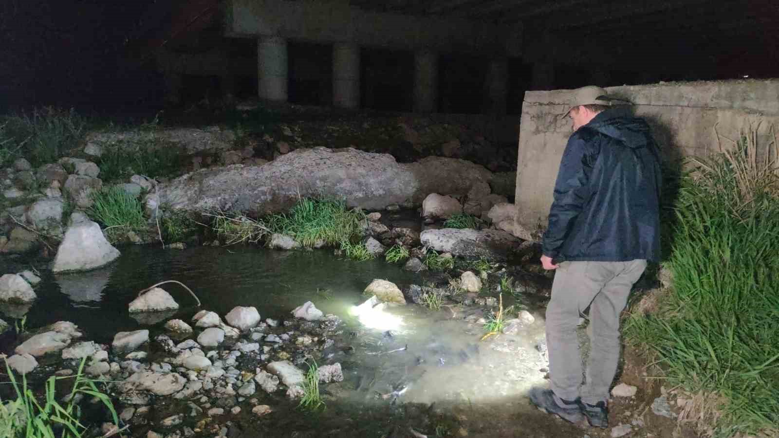 İnci kefalinin gece yolculuğu başladı