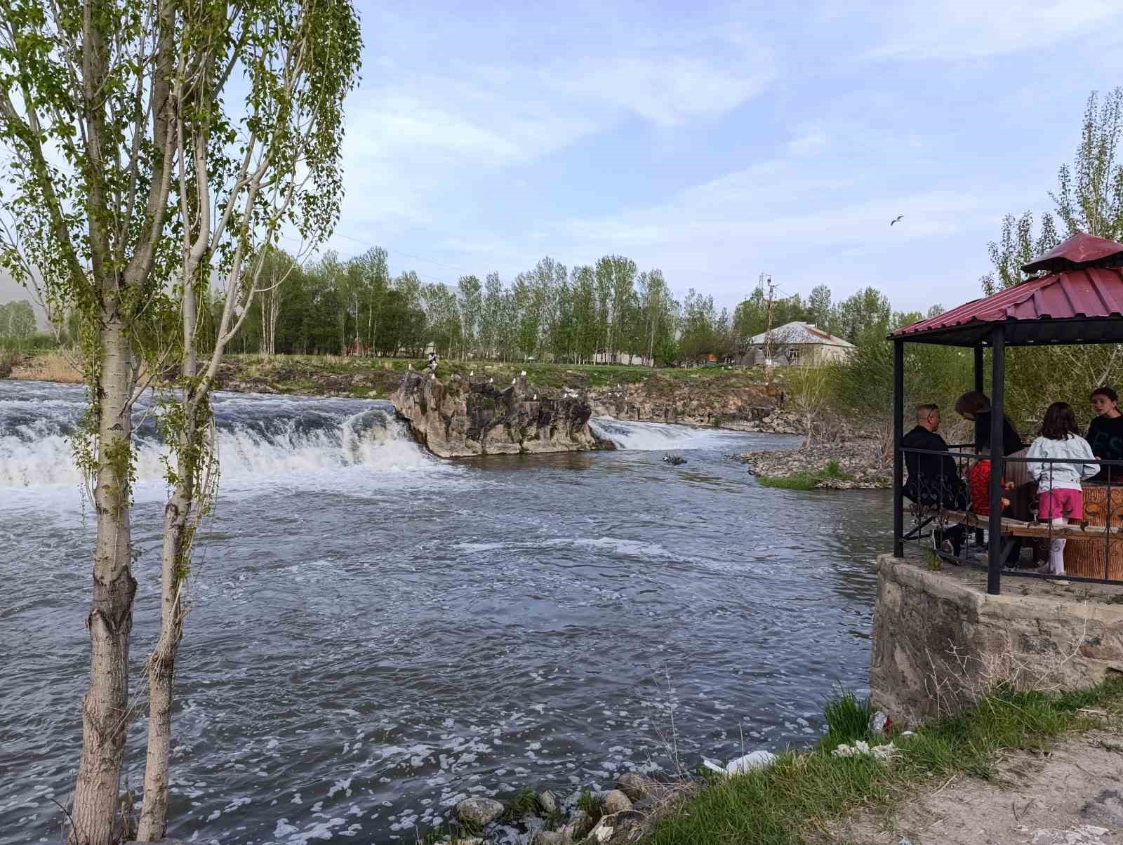 Martıların inci kefali ’nöbeti’