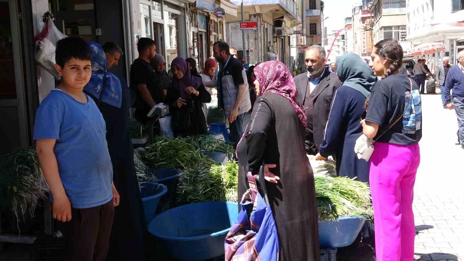 Dağlardan toplanan otlar hem şifa hem kazanç sağlıyor