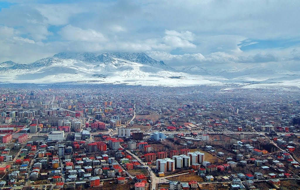 Van Neden Gelişemiyor?