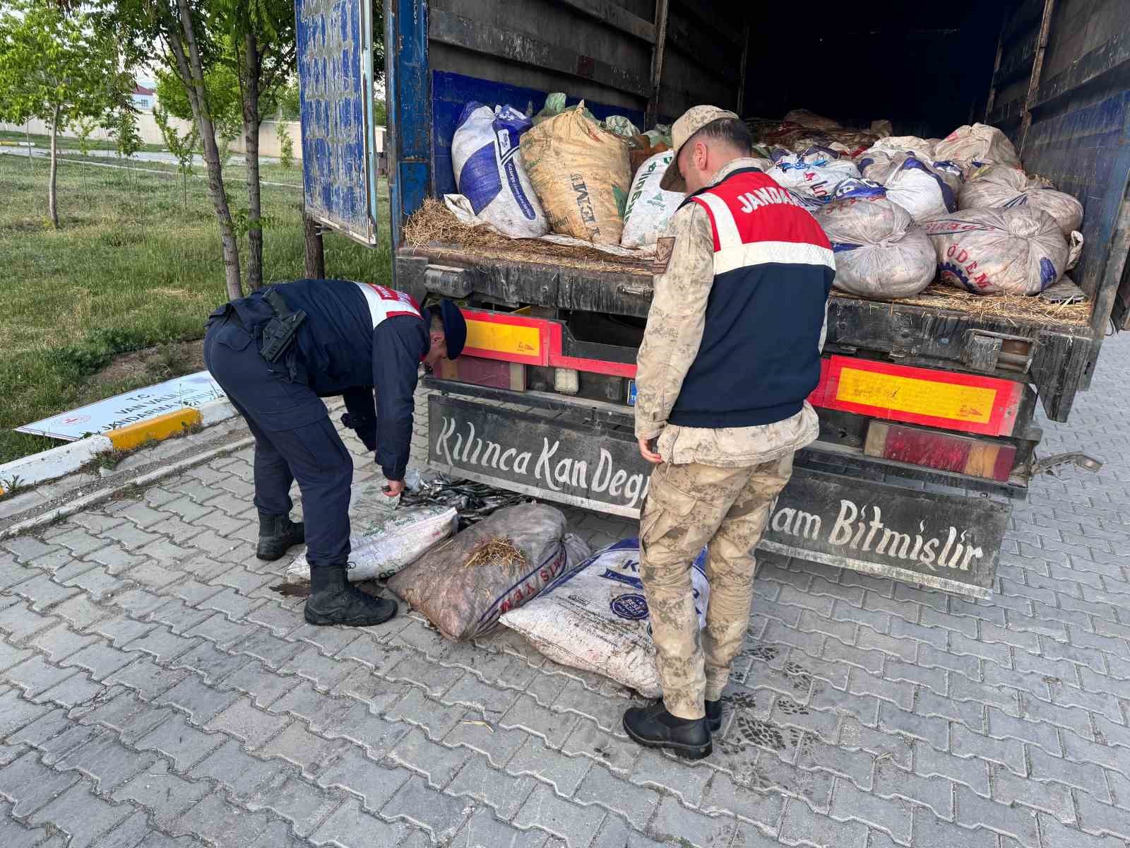 Van’da 22 ton 475 kilogram kaçak avlanmış balık ele geçirildi