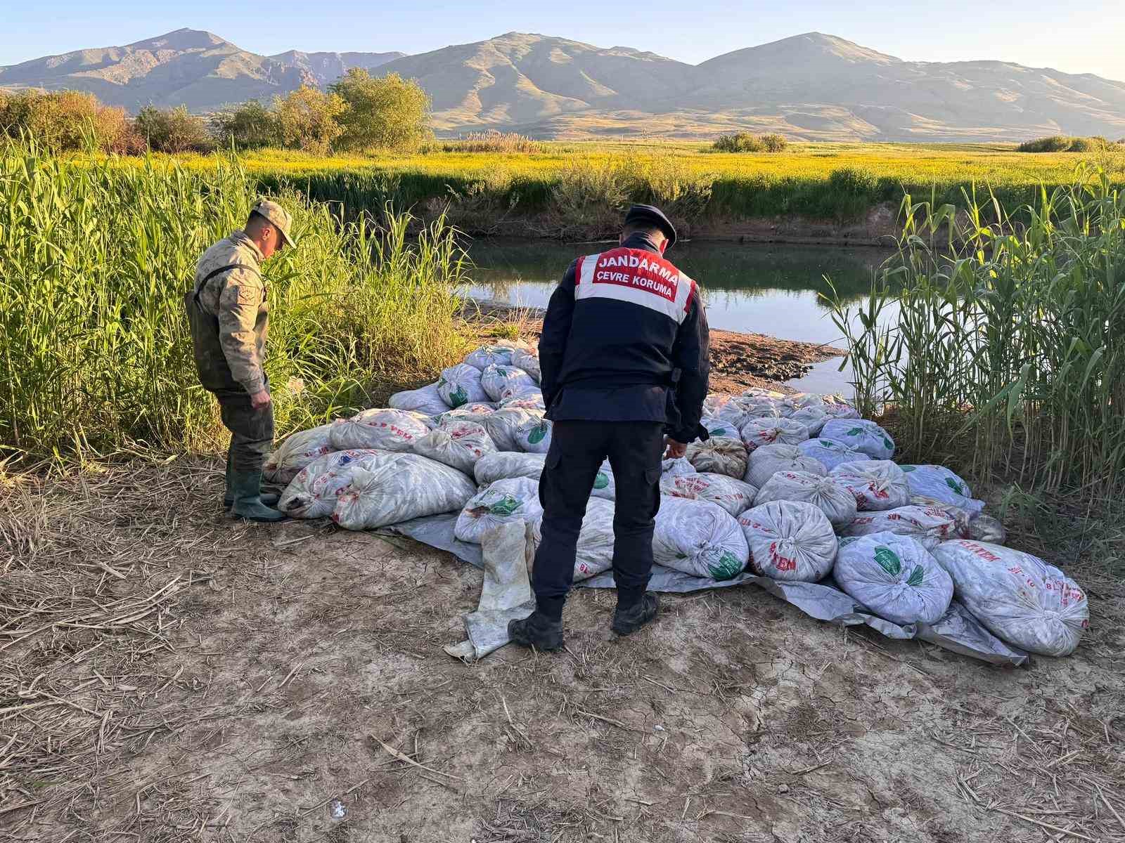 Van’da 22 ton 475 kilogram kaçak avlanmış balık ele geçirildi