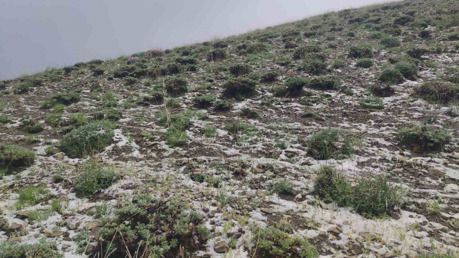 Haziran ayında kar sürprizi: Erek Dağı’nın etekleri beyaza büründü