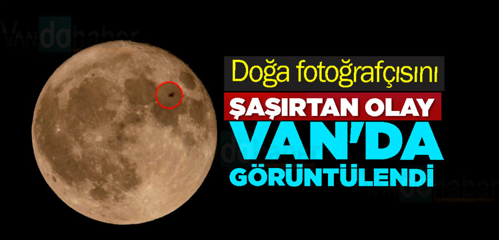Doğa fotoğrafçısını Şaşırtan Olay Van'da Görüntülendi