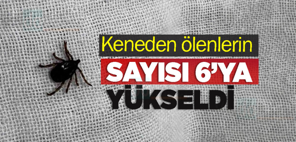 Keneden ölenlerin sayısı 6’ya yükseldi