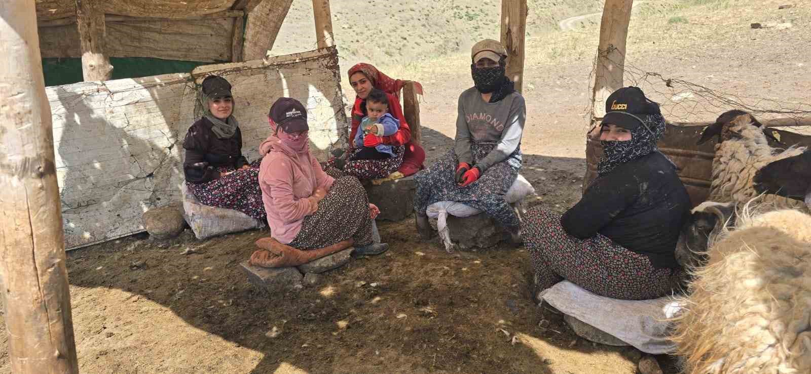 Kiraladıkları yaylada hayvancılık yaparak geçimlerini sağlıyorlar