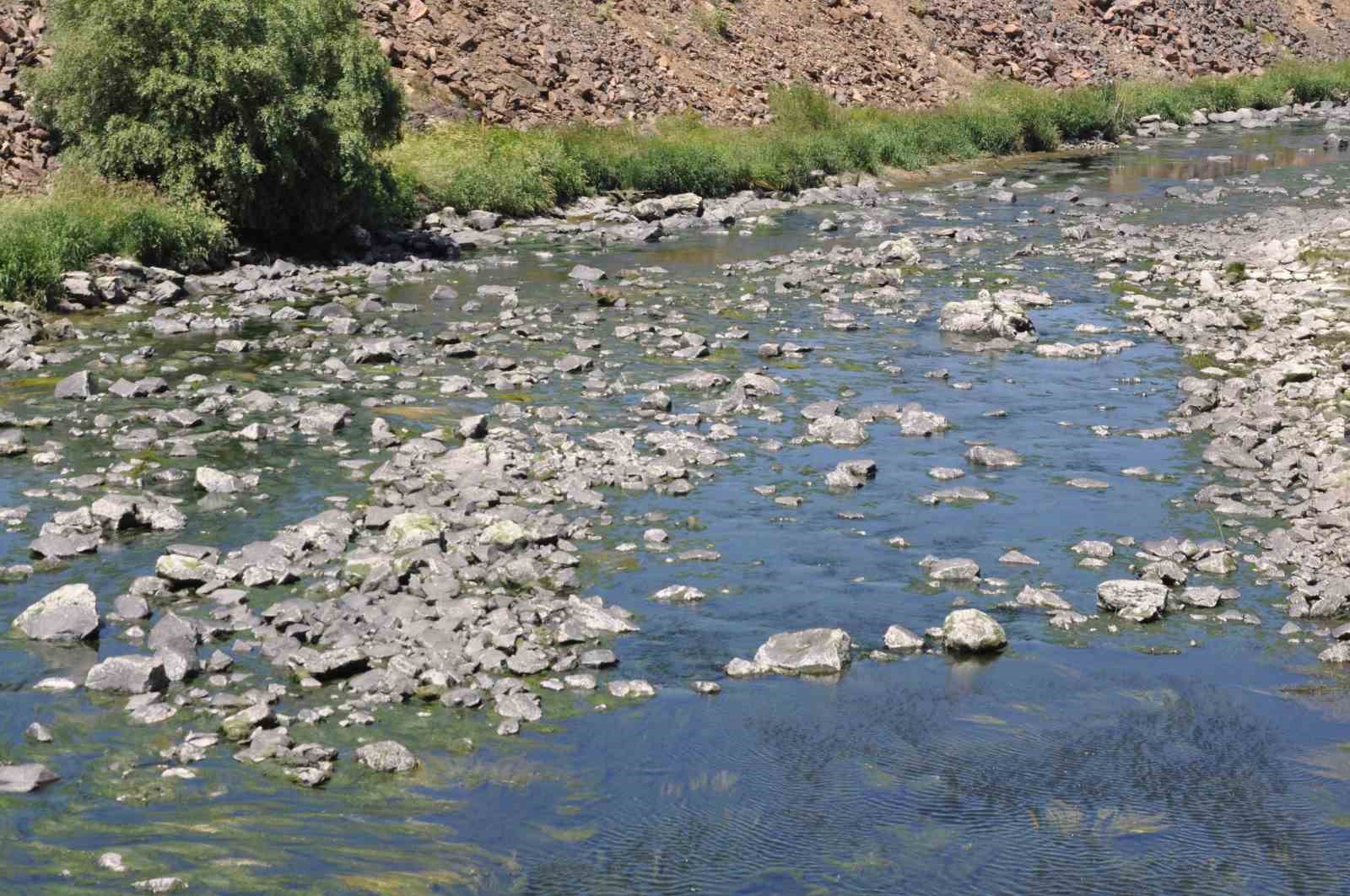 Kars’ta baraj kapağı kapatıldı, yüzlerce balık mahsur kaldı