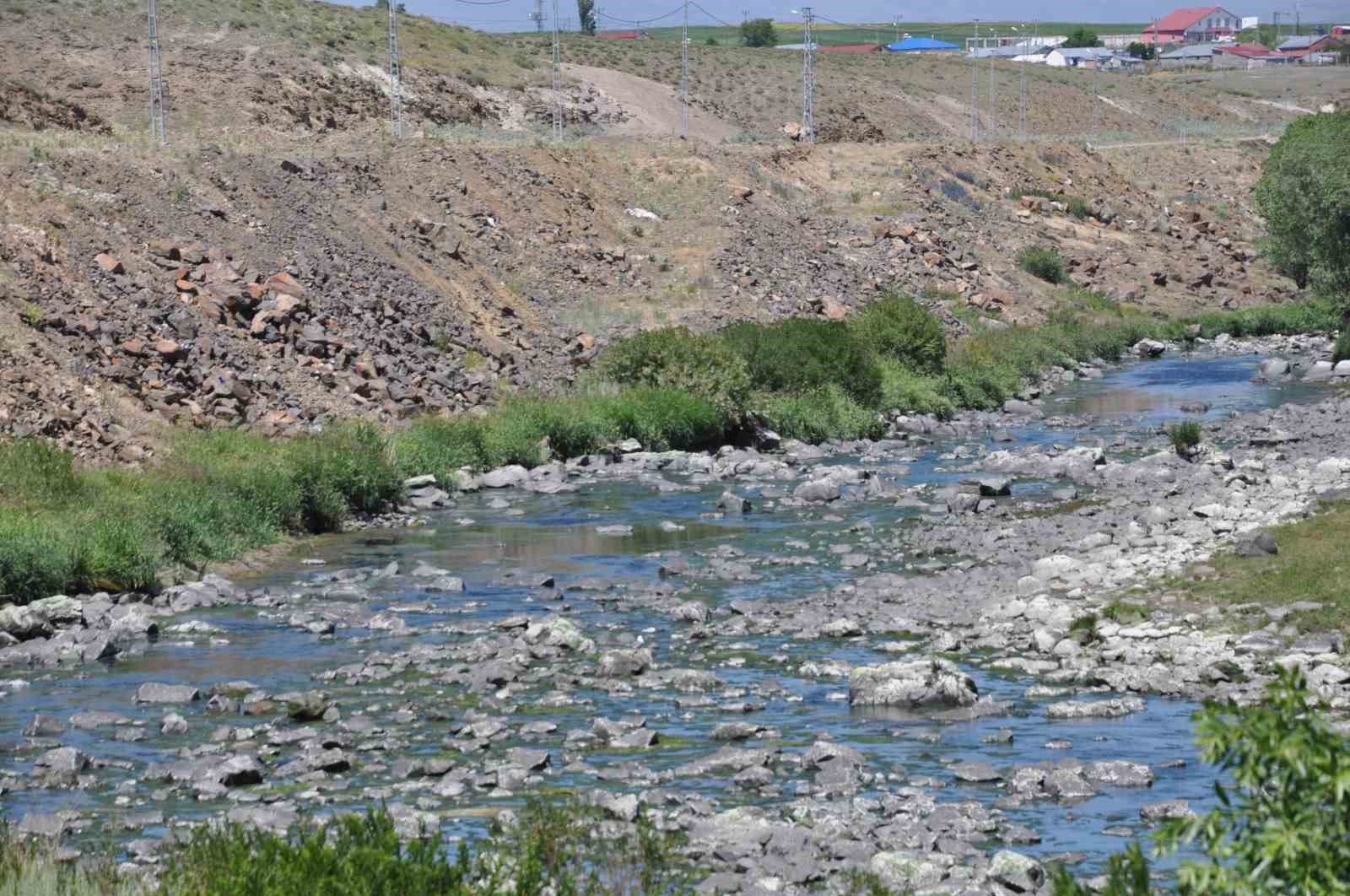 Kars’ta baraj kapağı kapatıldı, yüzlerce balık mahsur kaldı