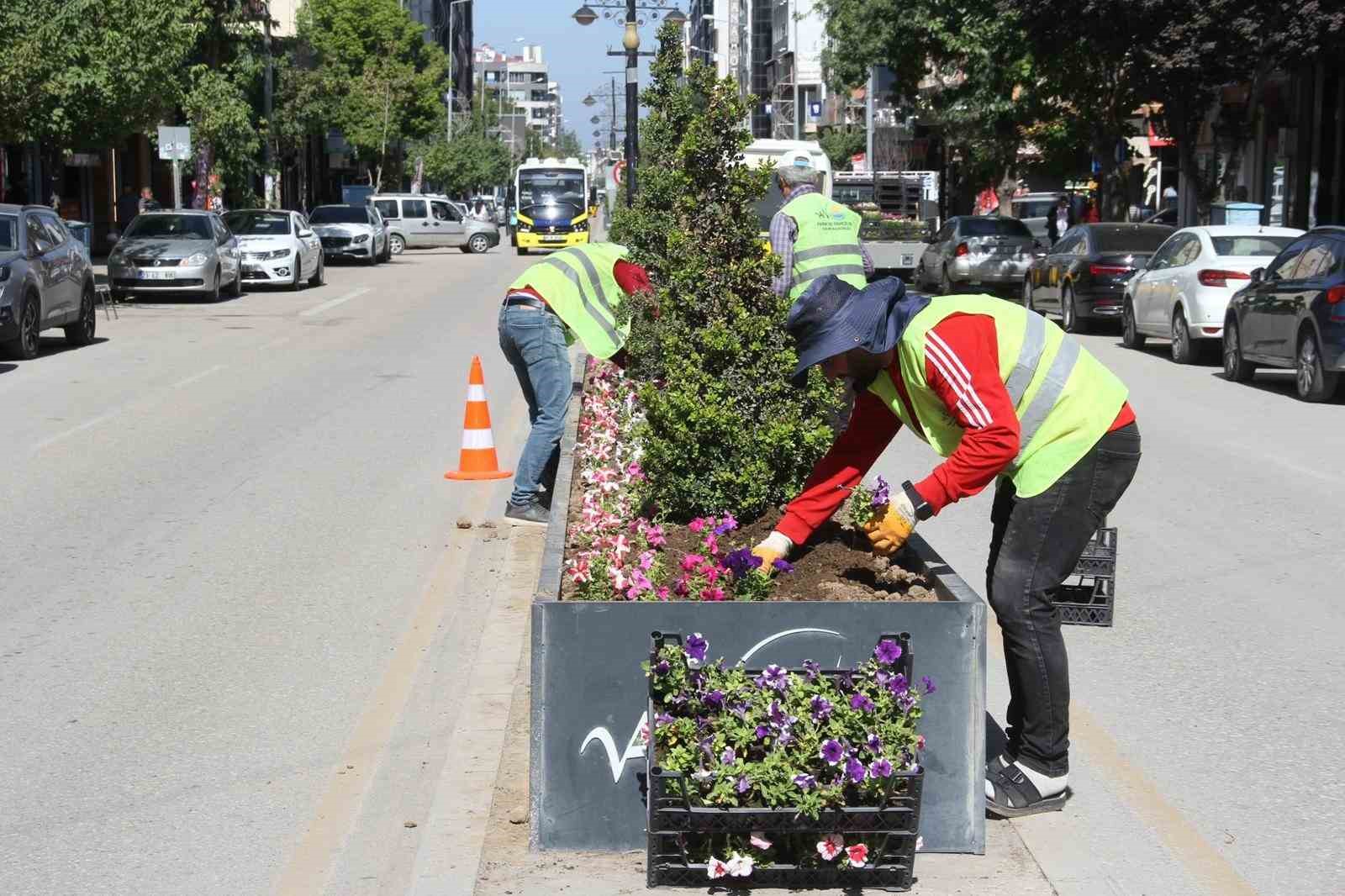 Van’daki cadde ve kavşaklar çiçek açtı