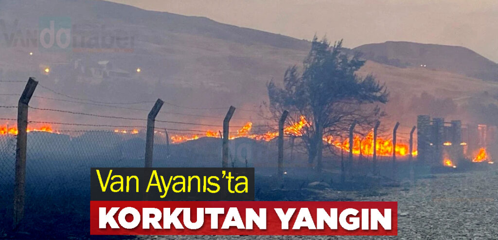 Van Ayanıs’ta Korkutan Yangın