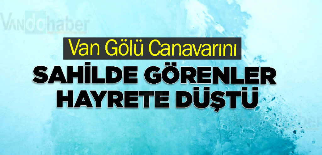 Van Gölü Canavarını sahilde görenler hayrete düştü