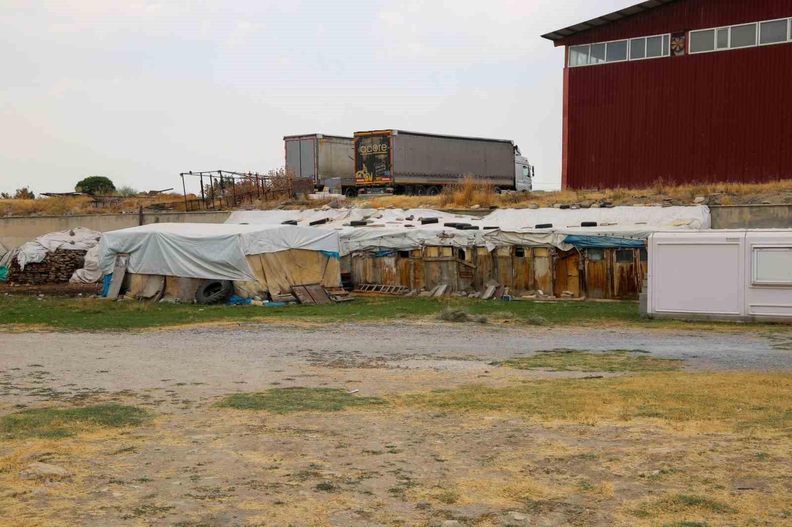 Van’da mahalle aralarında bulunan ahırlar için son uyarı