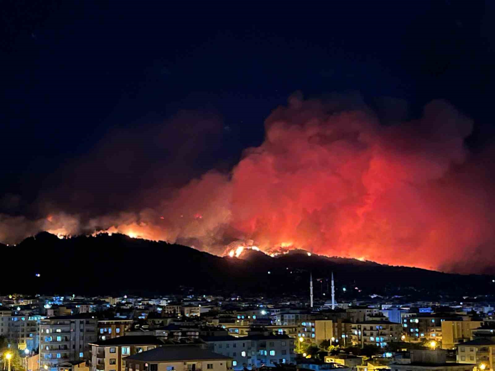 Hatay’daki orman yangınında alevler gökyüzünü aydınlattı