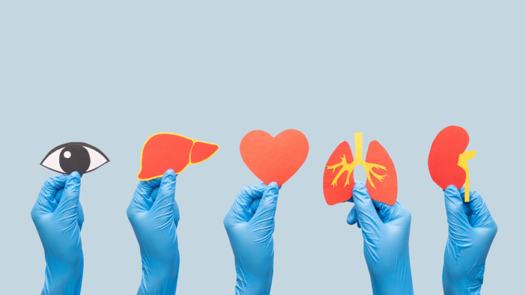 Organ bağışında öncelik Sırası Değişti!
