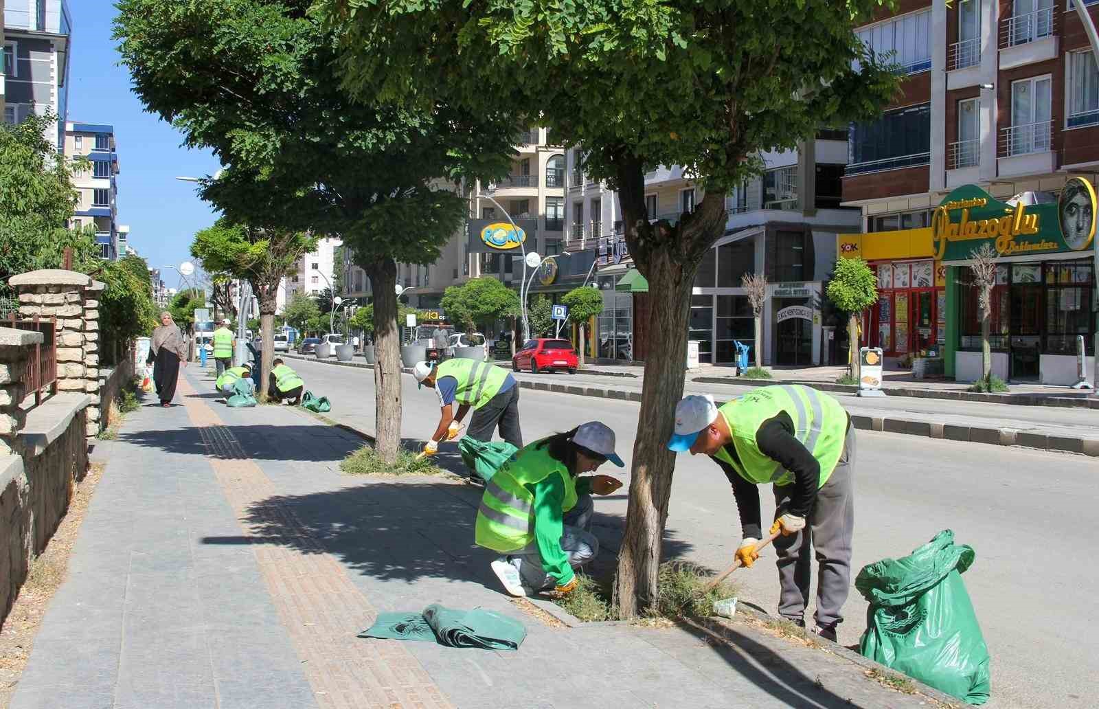Van Büyükşehir Belediyesinden yeşil alanlarda yoğun mesai