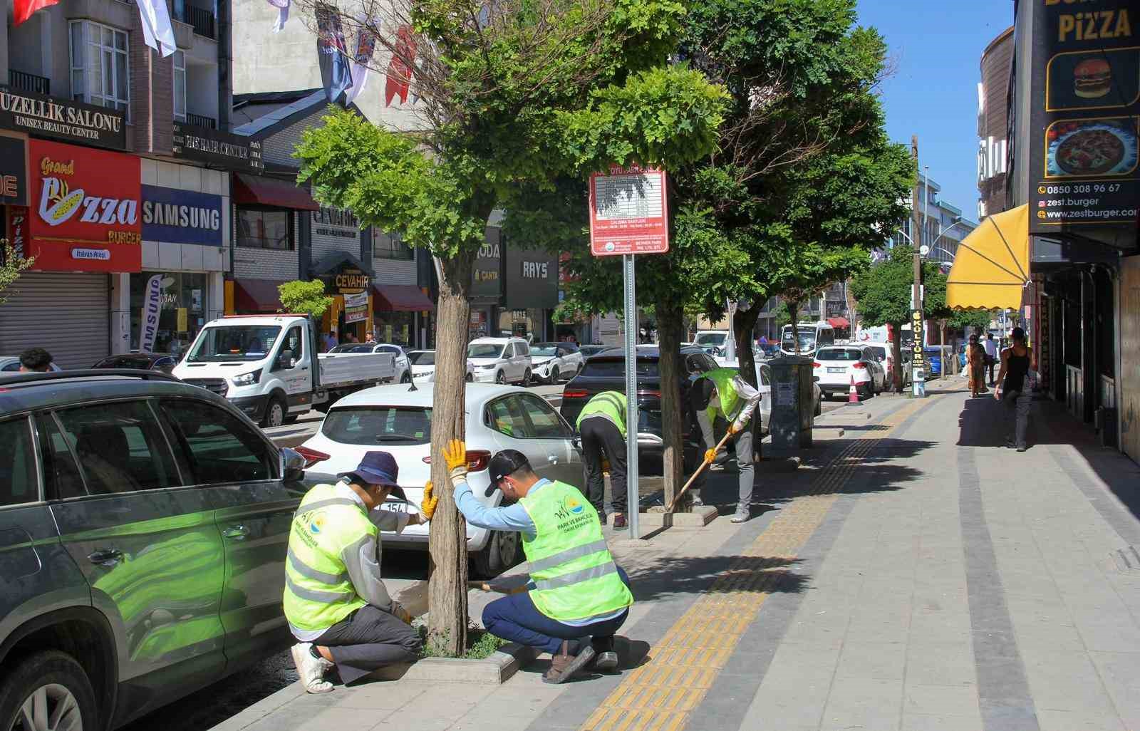 Van Büyükşehir Belediyesinden yeşil alanlarda yoğun mesai