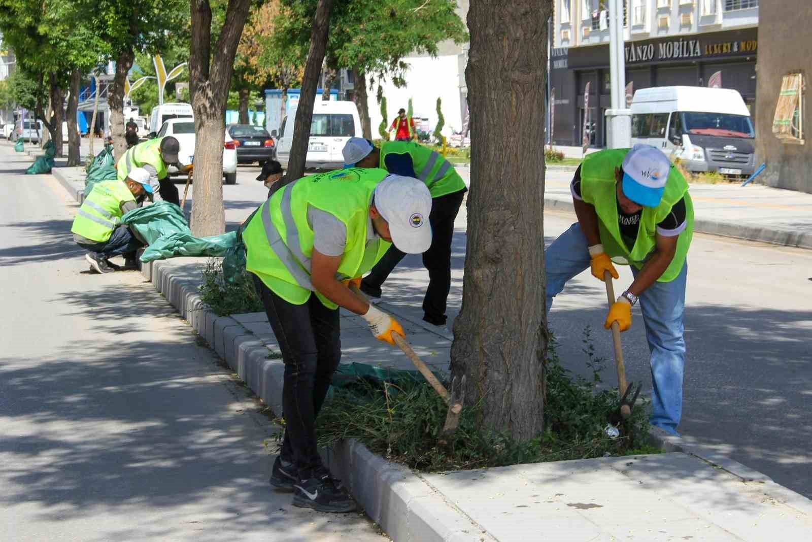Van Büyükşehir Belediyesinden yeşil alanlarda yoğun mesai