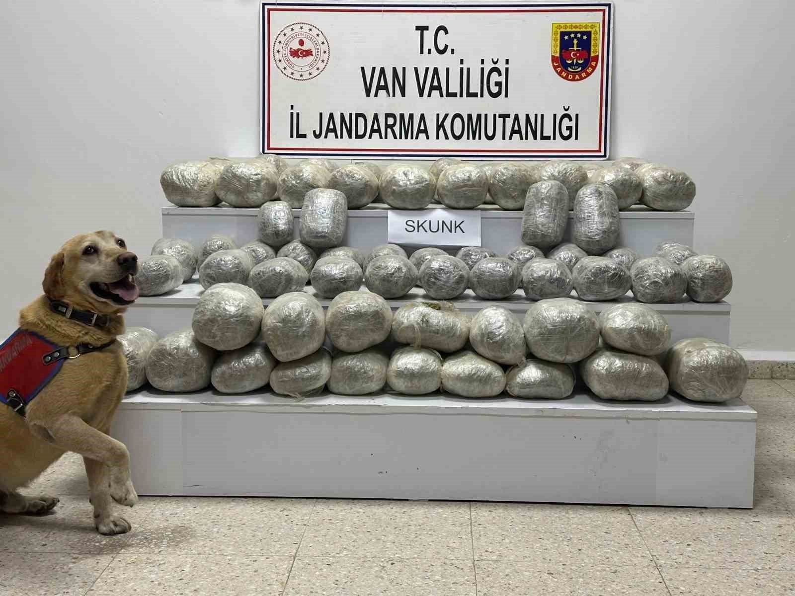 İran’dan katırla yurda sokulan 97 kilogram uyuşturucuya 1 gözaltı