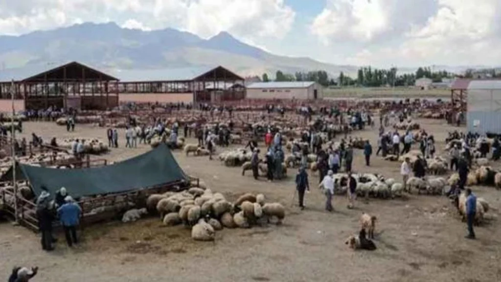 Van dahil 81 ilde hayvan pazarları kapatıldı