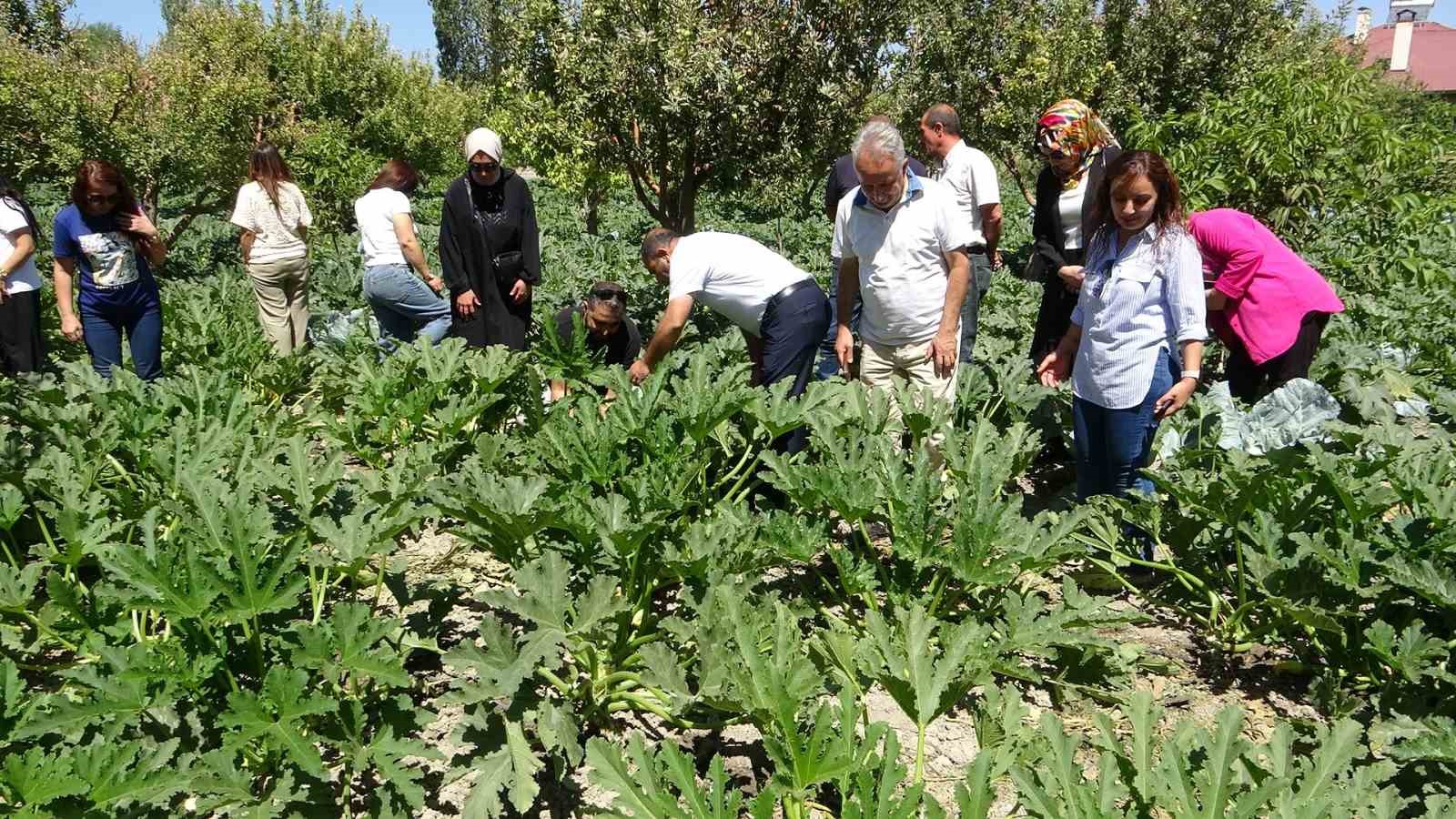 Modern basınçlı sulama sistemiyle hem işçilikten hem de verimden kazandı
