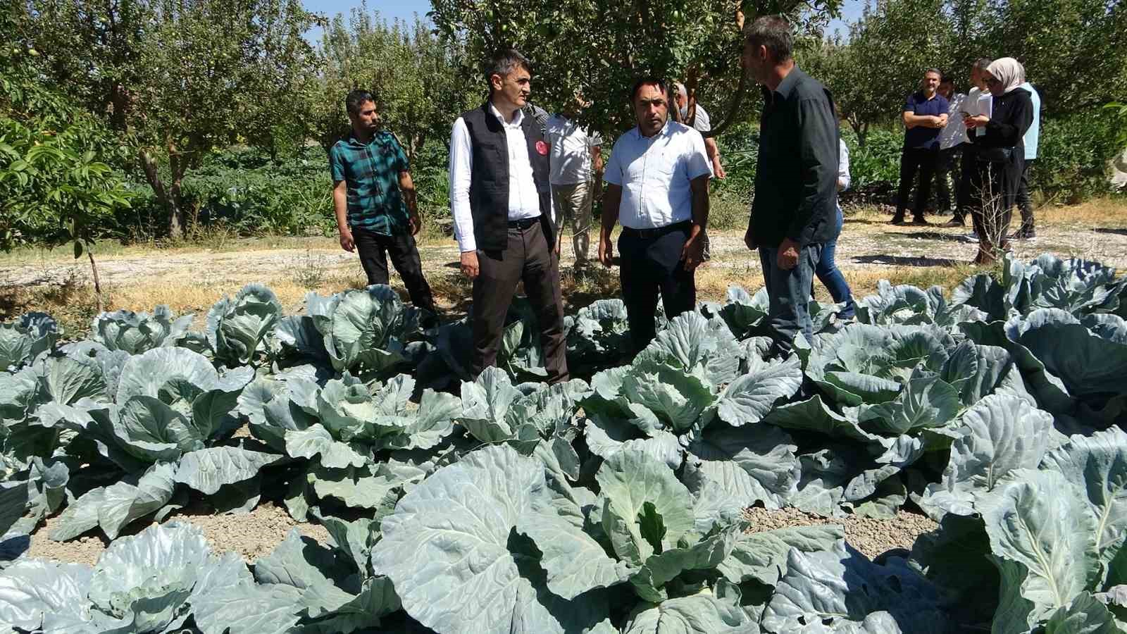 Modern basınçlı sulama sistemiyle hem işçilikten hem de verimden kazandı