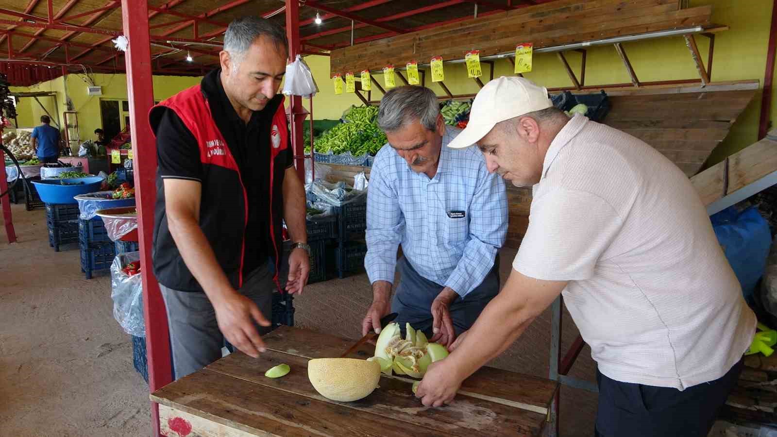 Sıhke kavununun hasadına başlandı
