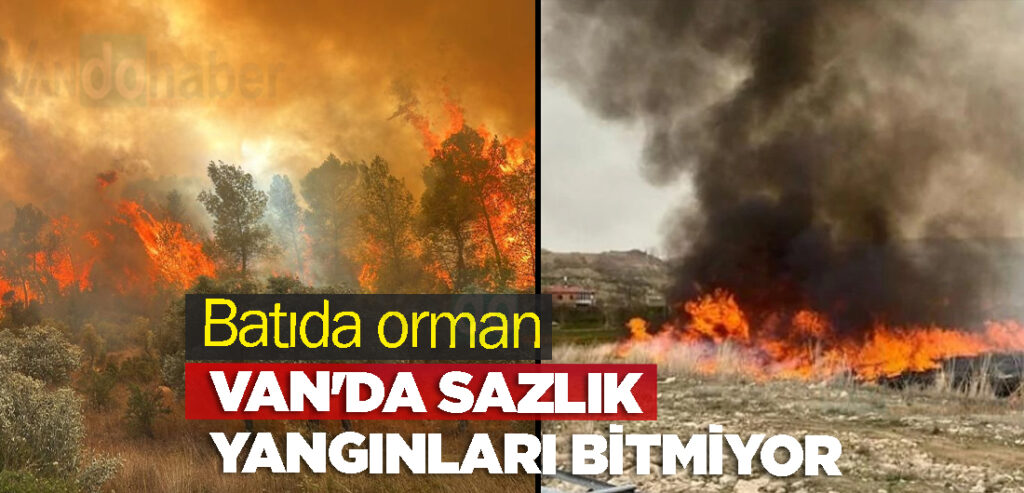 Batıda orman Van'da sazlık yangınları bitmiyor