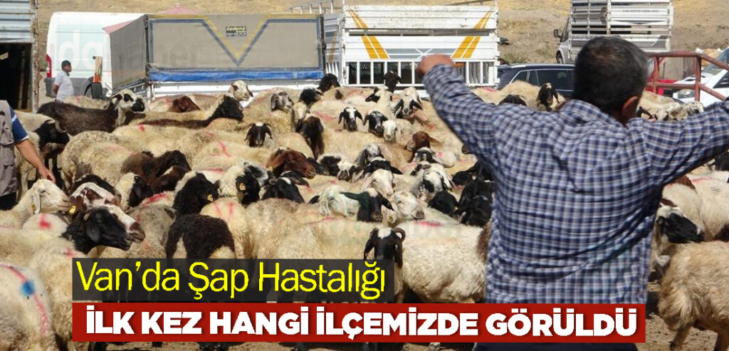 Van’da Şap Hastalığı İlk Kez Hangi İlçemizde Görüldü