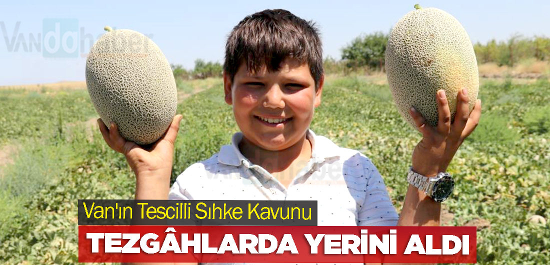 Van’ın Tescilli Sıhke Kavunu Tezgâhlarda Yerini Aldı