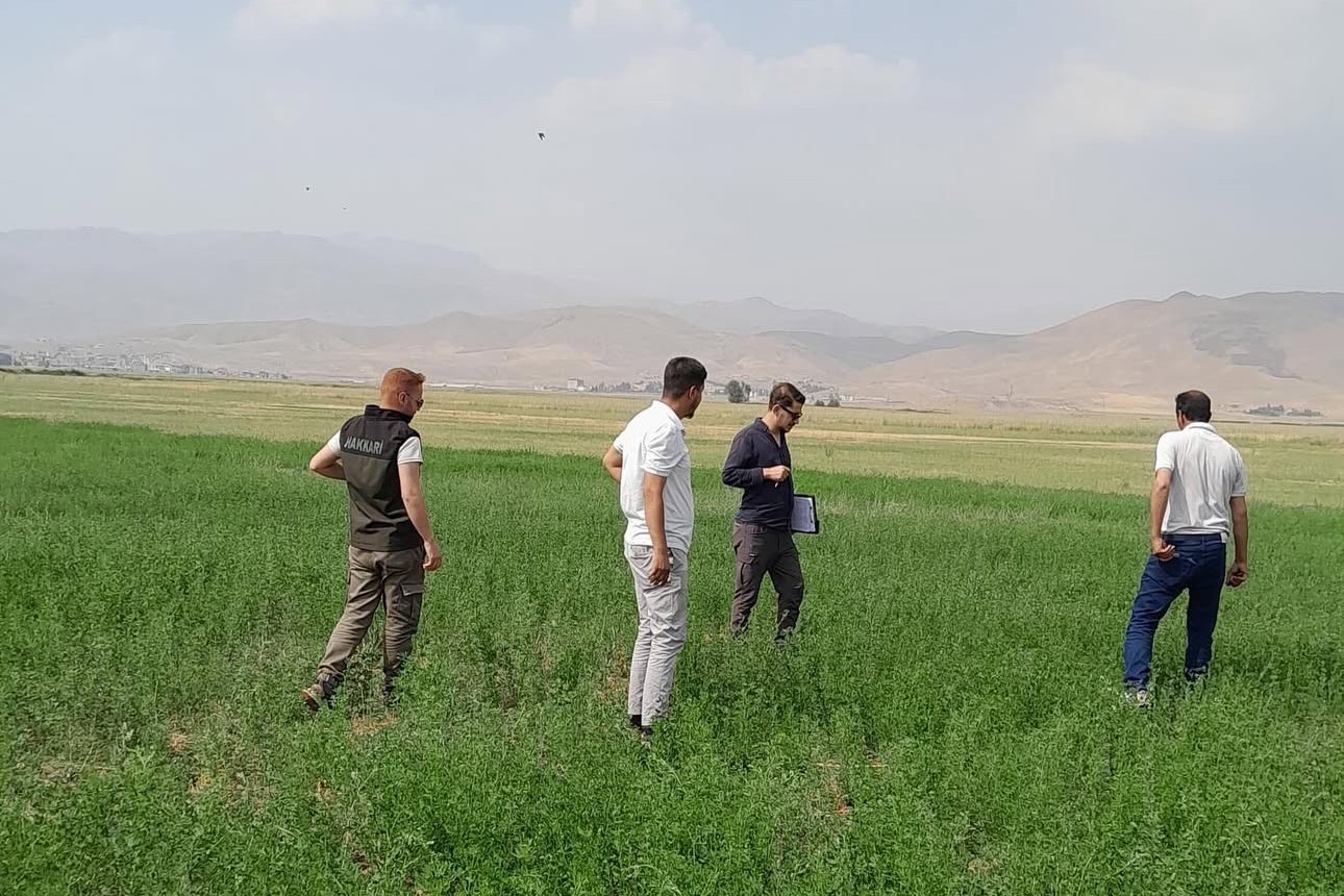 Yüksekova ovasında inceleme
