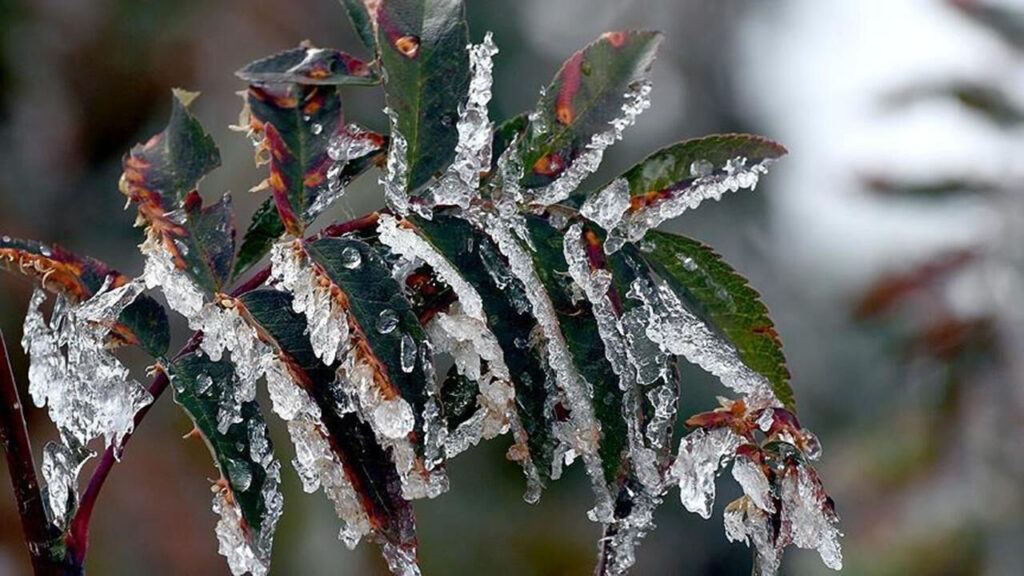 420 bin kişiye 23,4 milyar TL destek ödemesi geliyor