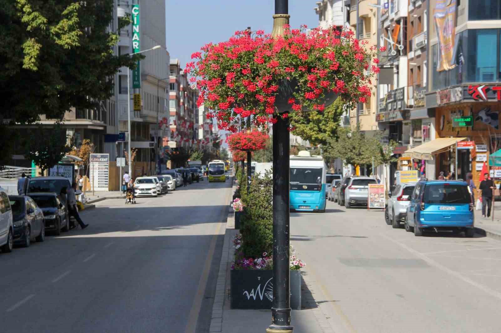 Van Büyükşehir Belediyesi şehri sardunyalarla süslüyor