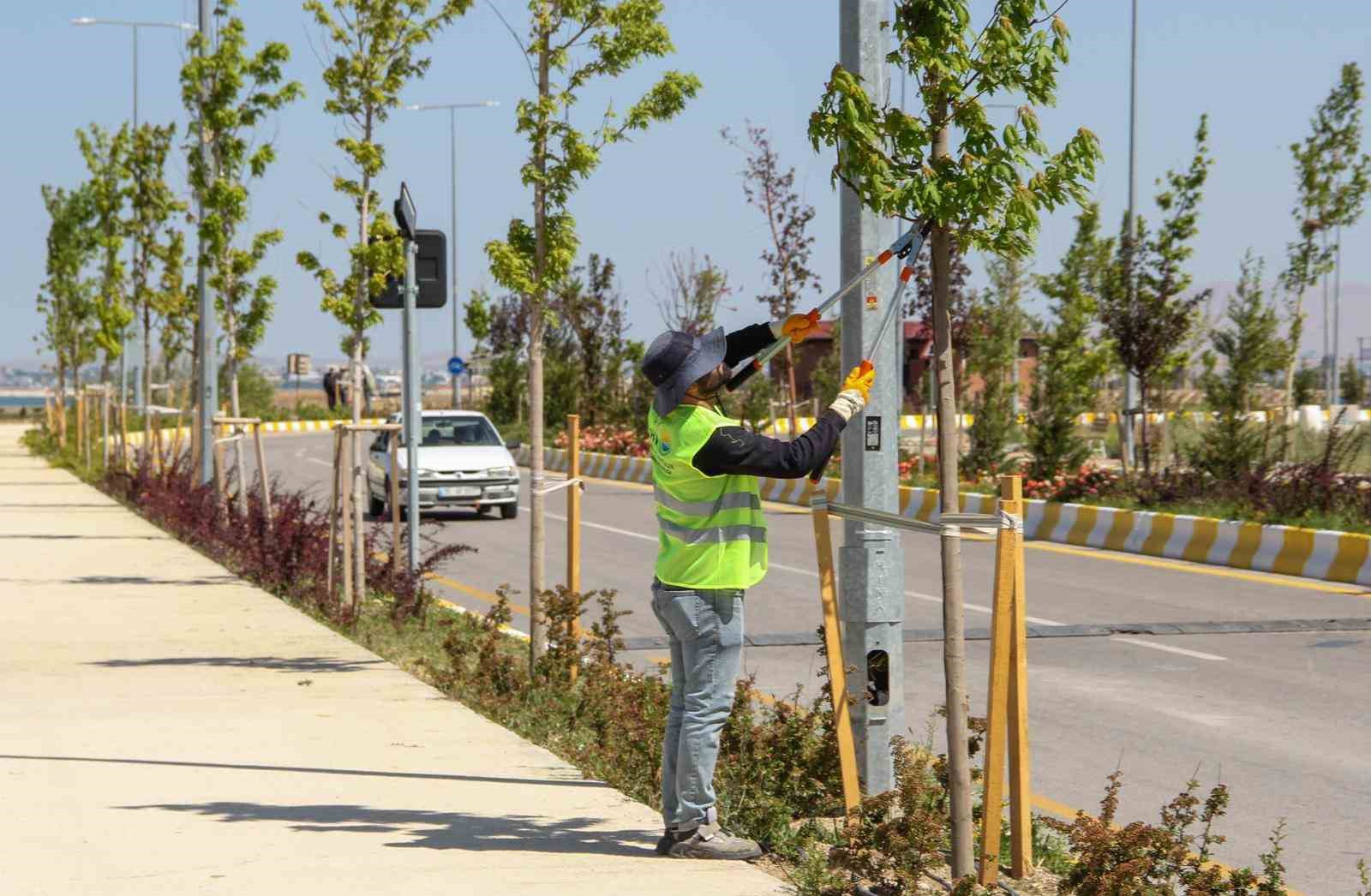 Sahil yolunda geniş kapsamlı peyzaj çalışması yürütüyor