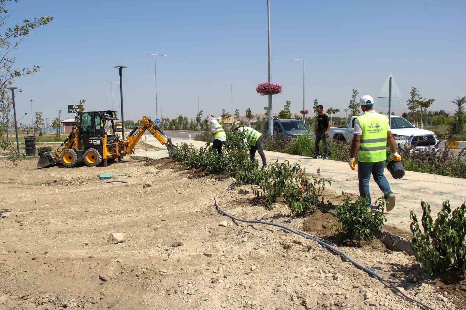 Sahil yolunda geniş kapsamlı peyzaj çalışması yürütüyor