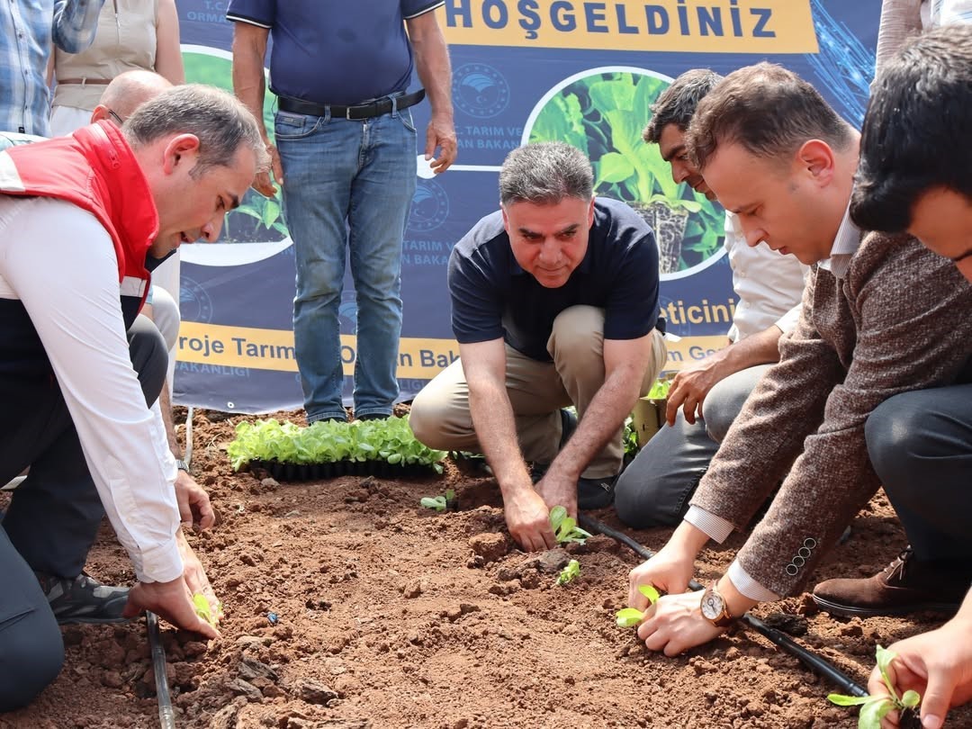 Şırnak’ta TAKE Projesi kapsamında üreticilere fide ve tohum desteği