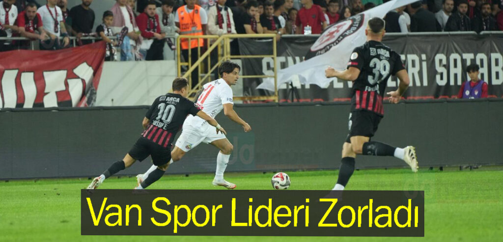 Van Spor Lideri Zorladı